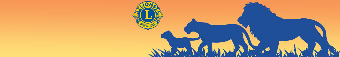cropped-Lions-Banner.jpg